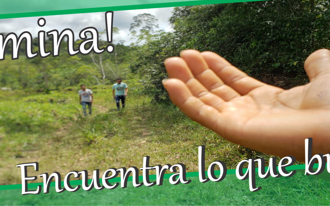 Lectio para 2º domingo de Tiempo Ordinario