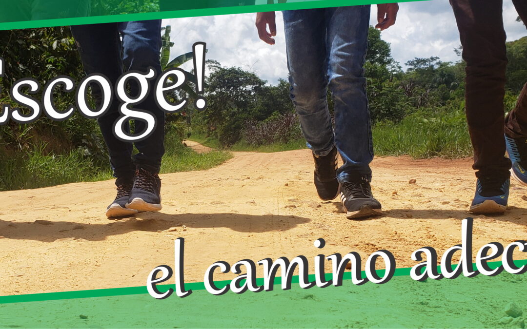 Lectio para 3º domingo de Tiempo Ordinario