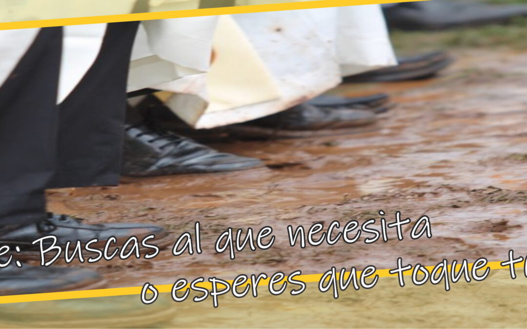 Lectio para 4º Domingo de Pascua