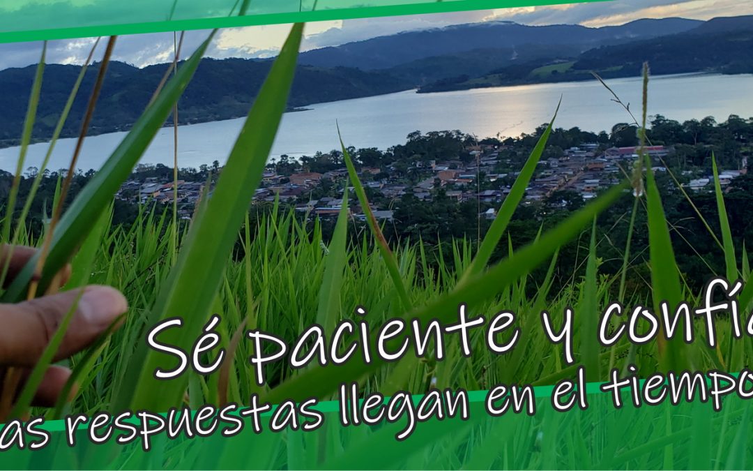 Lectio para 13º domingo de Tiempo Ordinario