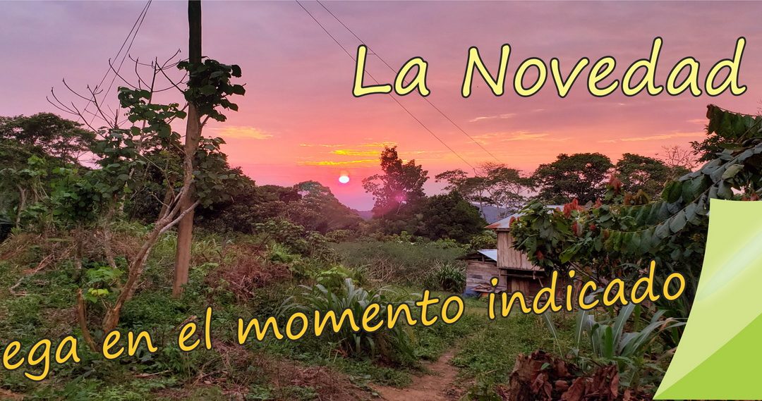 Lectio para 2 domingo de Tiempo Ordinario