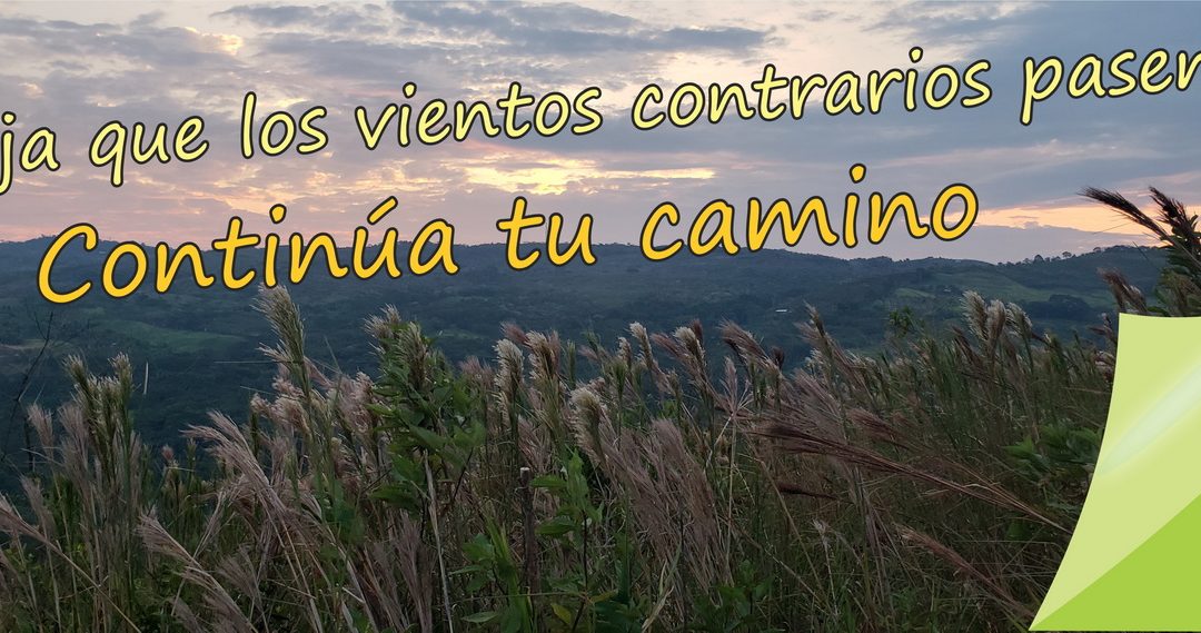 Lectio para 4 domingo de Tiempo Ordinario