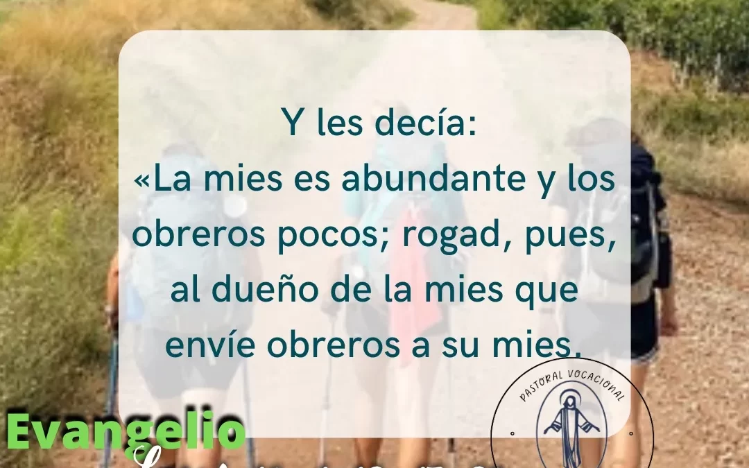 XIV Domingo del Tiempo Ordinario