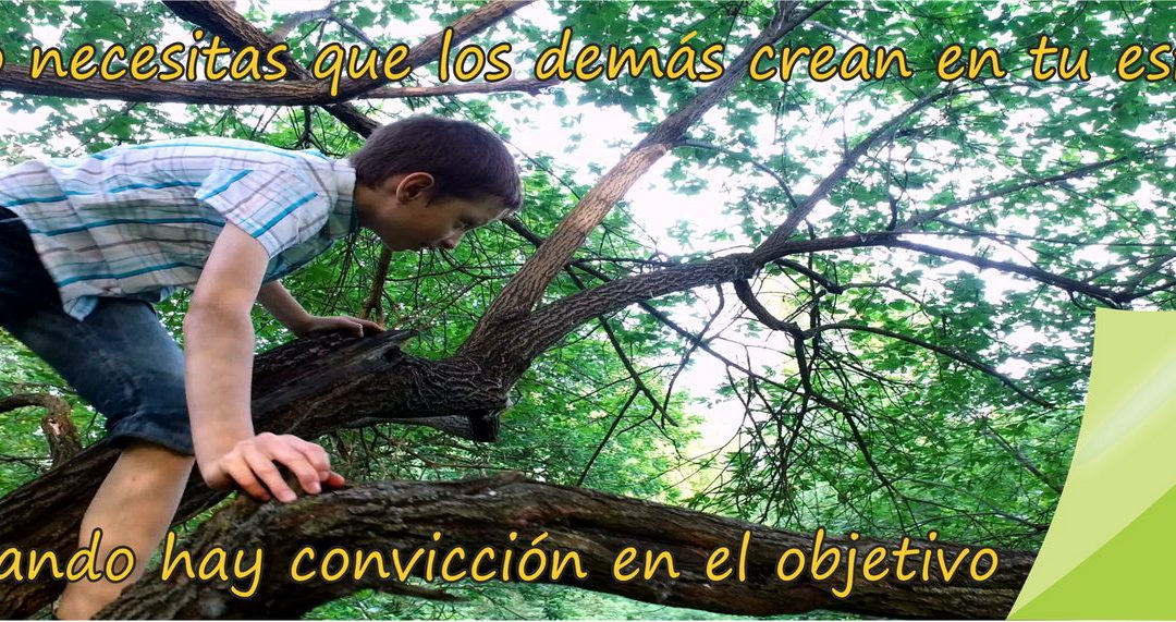 Lectio para 31º Domingo de Tiempo Ordinario