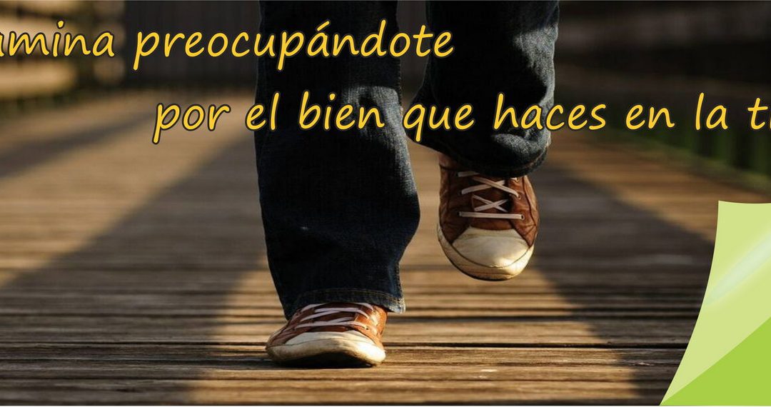 Lectio para 32º Domingo de Tiempo Ordinario