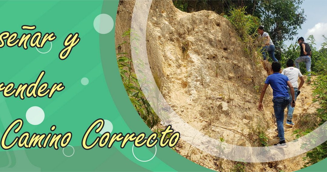 Lectio para 6º Domingo de Tiempo Ordinario