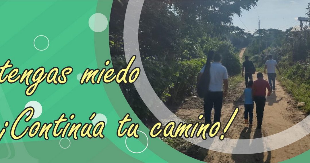 Lectio para 12º domingo de Tiempo Ordinario