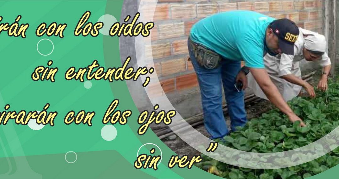 Lectio para 15º domingo de Tiempo Ordinario