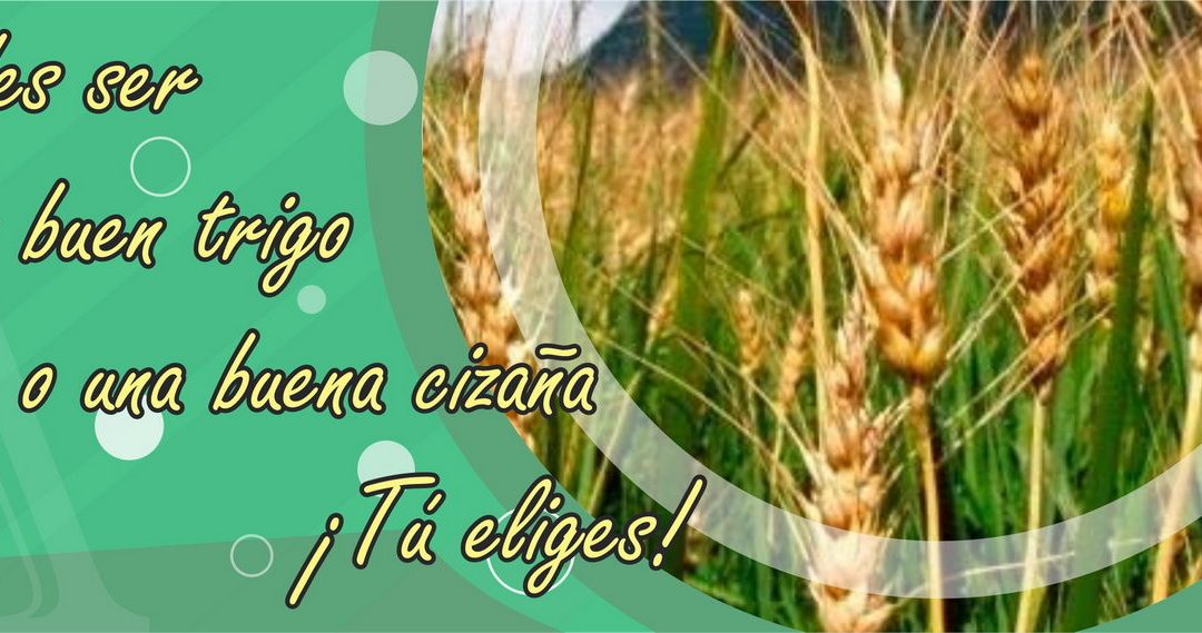 Lectio para 16º domingo de Tiempo Ordinario