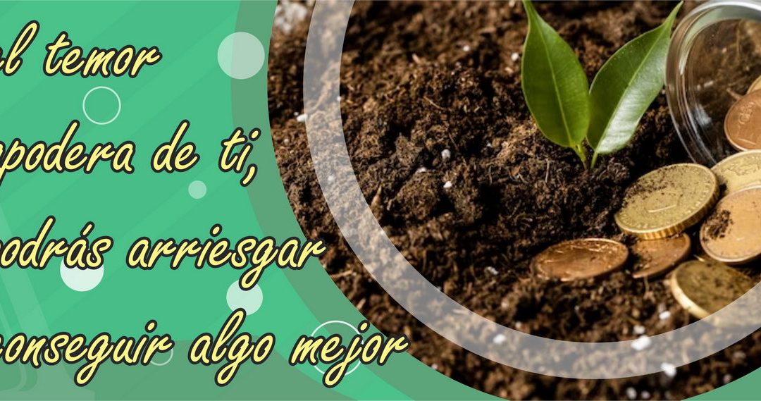 Lectio para 33º domingo de Tiempo Ordinario