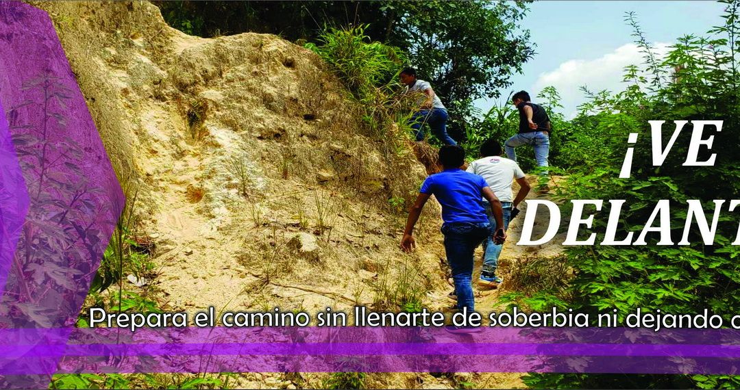 Lectio para 2 domingo de Adviento