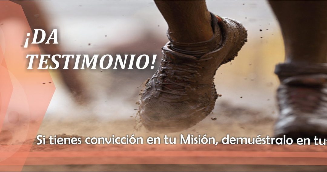 Lectio para 3 domingo de Adviento