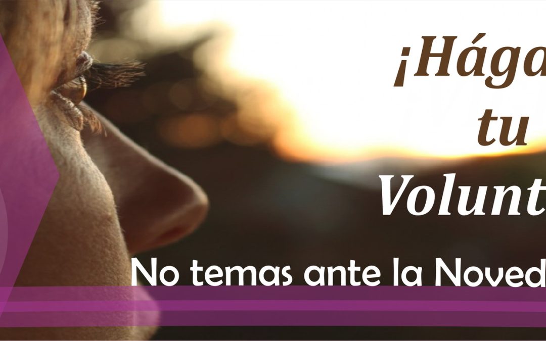 Lectio para 4 domingo de Adviento