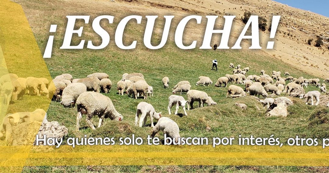 Lectio para 4º Domingo de Pascua