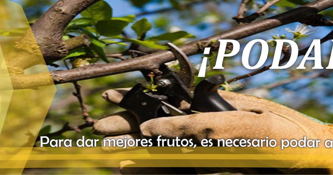 Lectio para 5º Domingo de Pascua