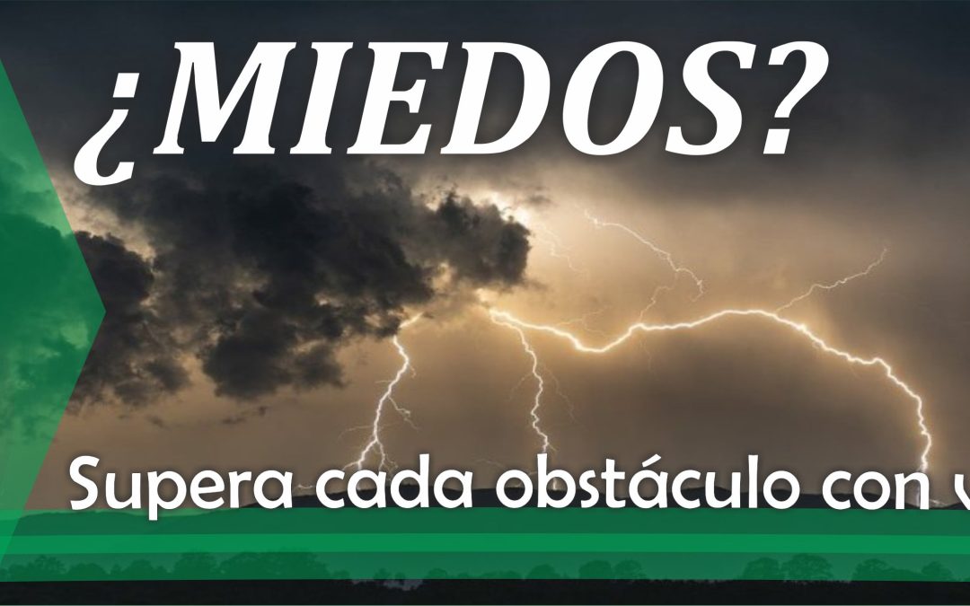 Lectio para 12º domingo de Tiempo Ordinario