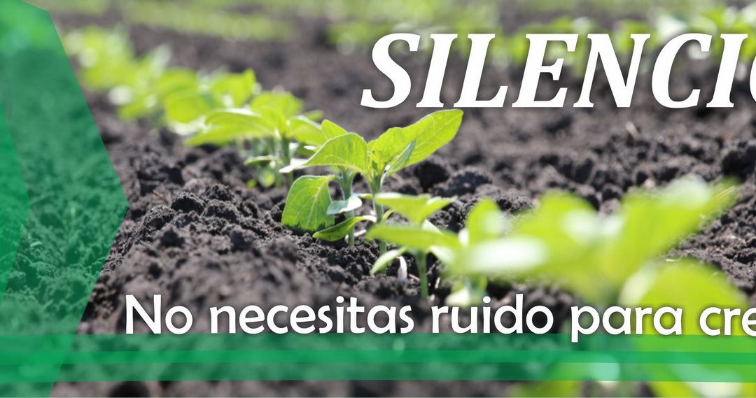 Lectio para 11º domingo de Tiempo Ordinario