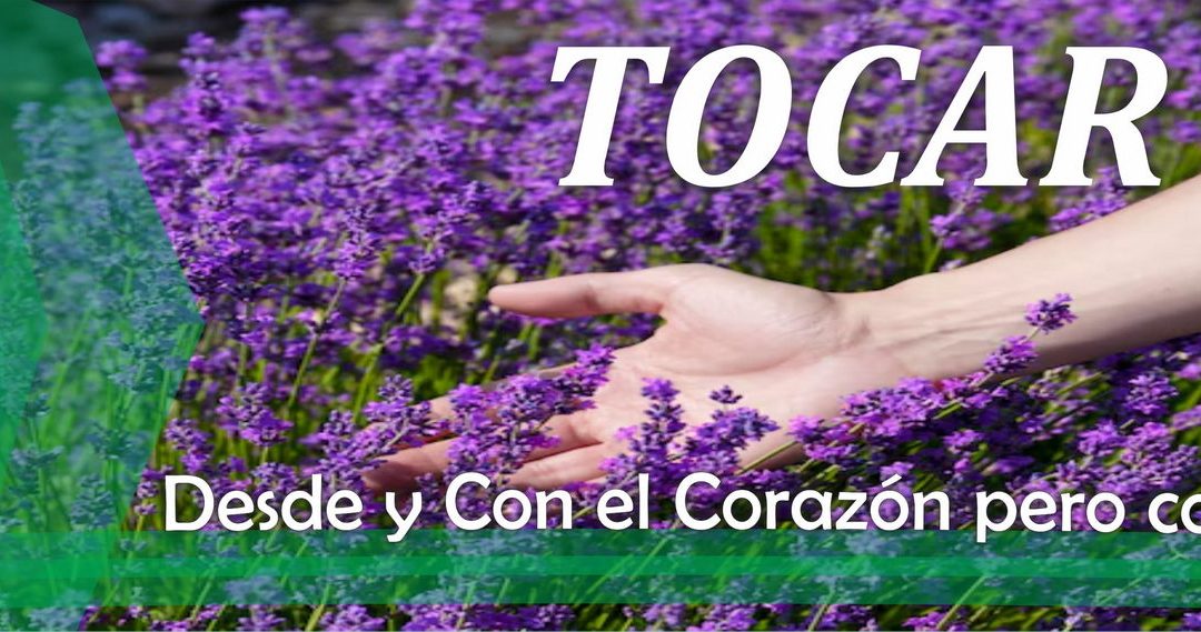 Lectio para 13º domingo de Tiempo Ordinario