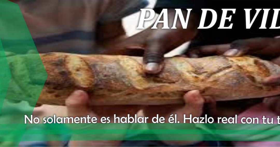 Lectio para 20º domingo de Tiempo Ordinario