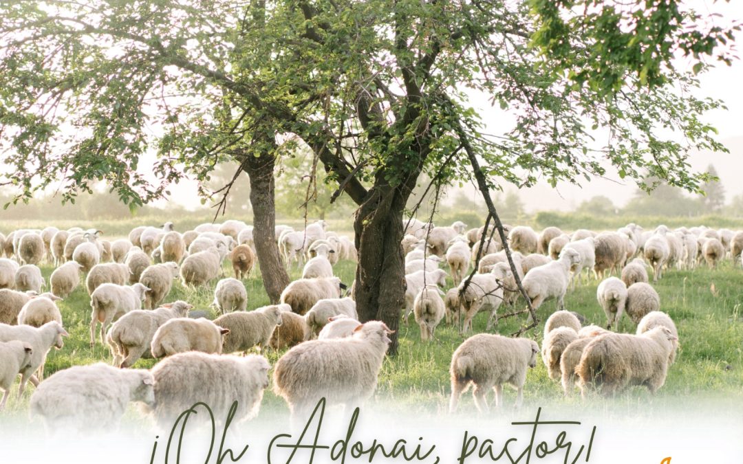 Camino hacia la Navidad del Señor. 18 de diciembre