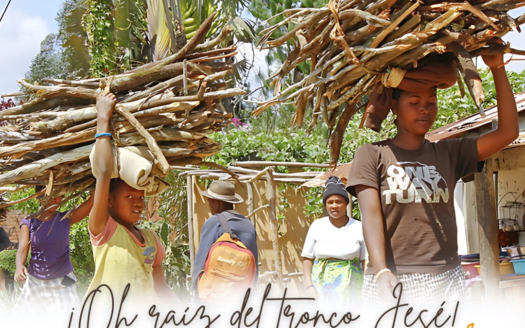 Camino hacia la Navidad del Señor. 19 de diciembre