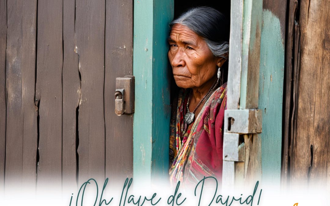 Camino hacia la Navidad del Señor. 20 de diciembre