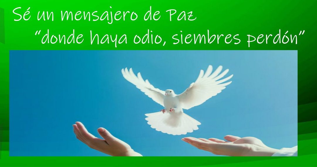 Lectio para 7 domingo de Tiempo Ordinario