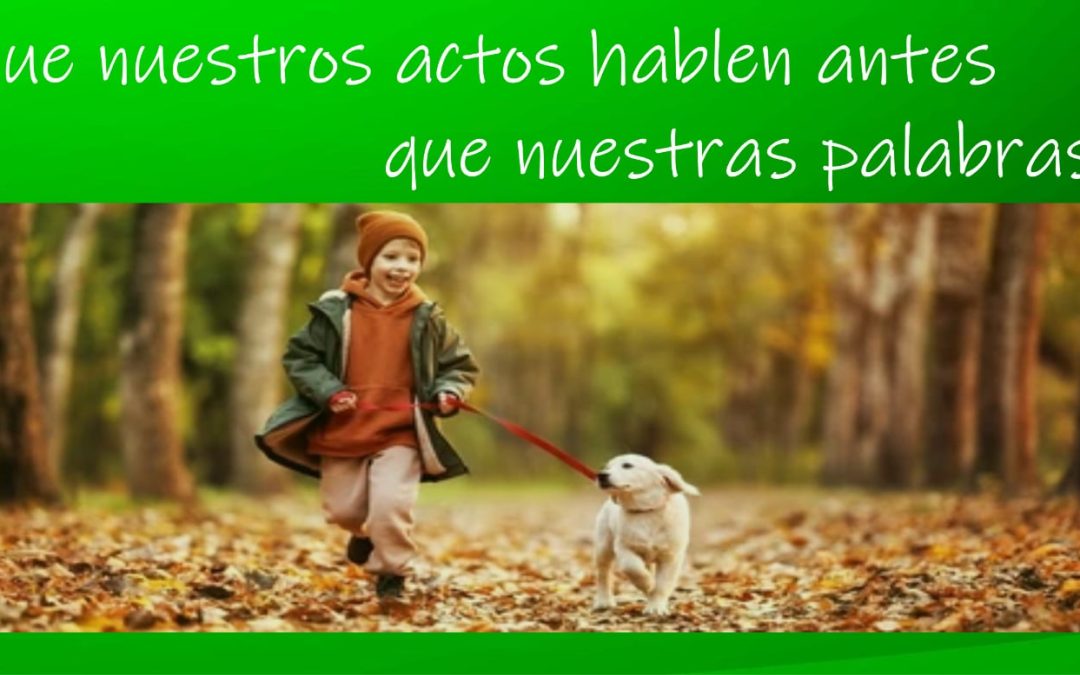 Lectio para 8º domingo de Tiempo Ordinario