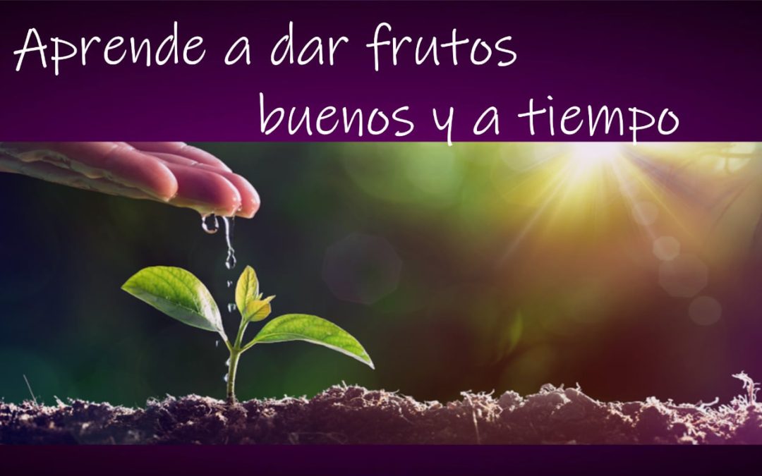 Lectio para 3 domingo de Cuaresma