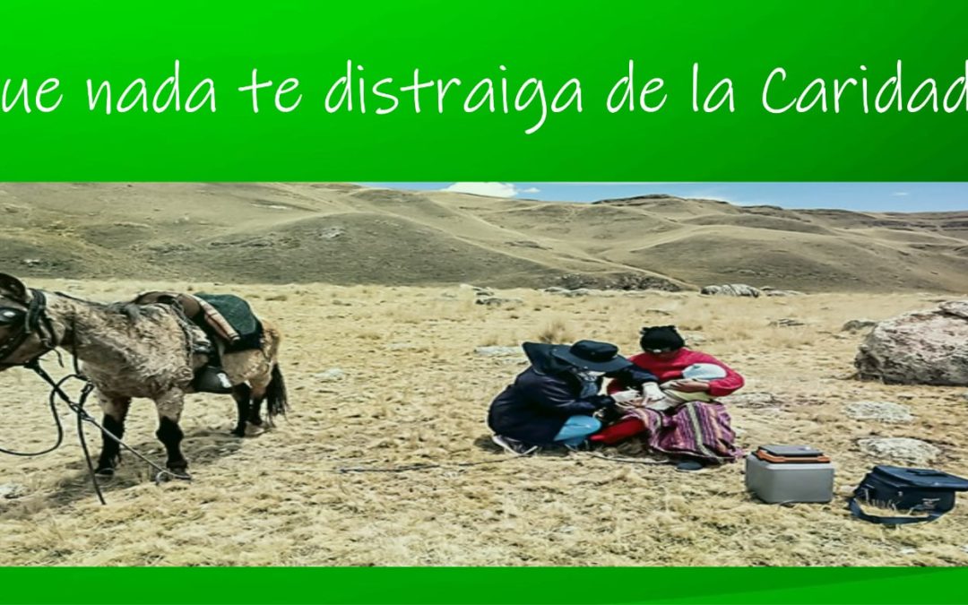Lectio para 15º Domingo de Tiempo Ordinario