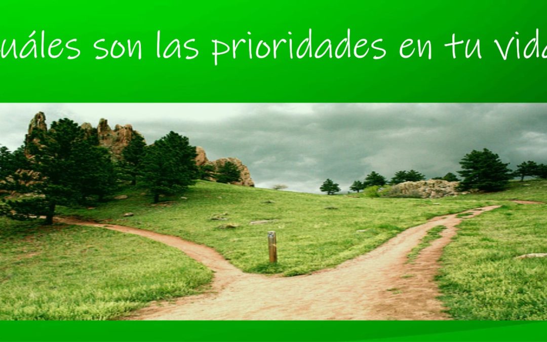 Lectio para 16º Domingo de Tiempo Ordinario