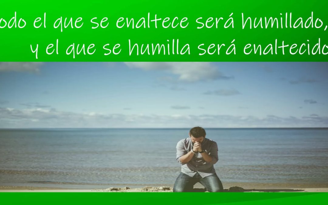 Lectio para 30º Domingo de Tiempo Ordinario