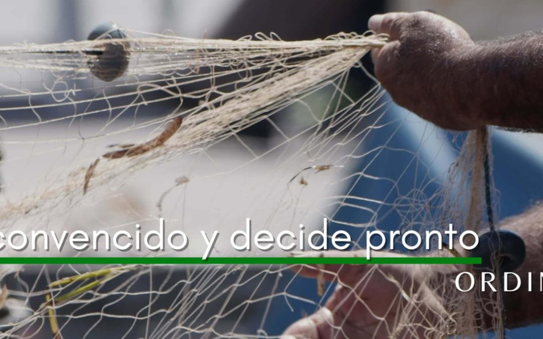 Lectio para 3º Domingo de Tiempo Ordinario