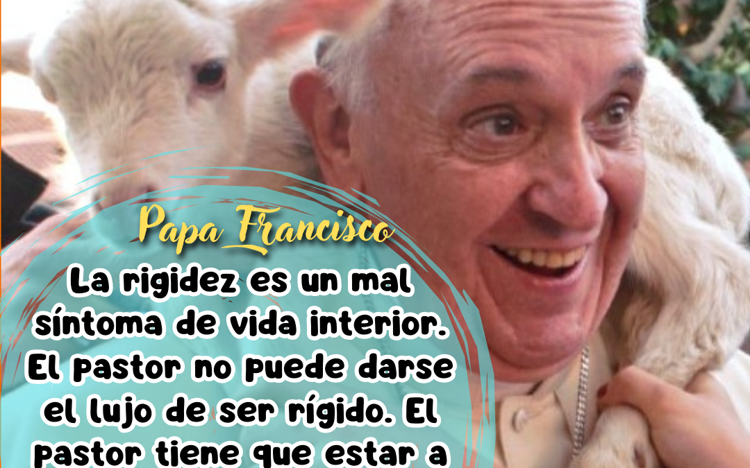 Dóciles como el Buen Pastor