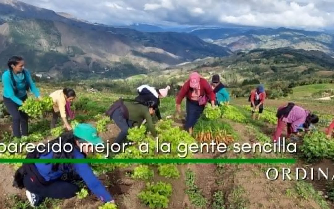 Lectio para 14º domingo de Tiempo Ordinario