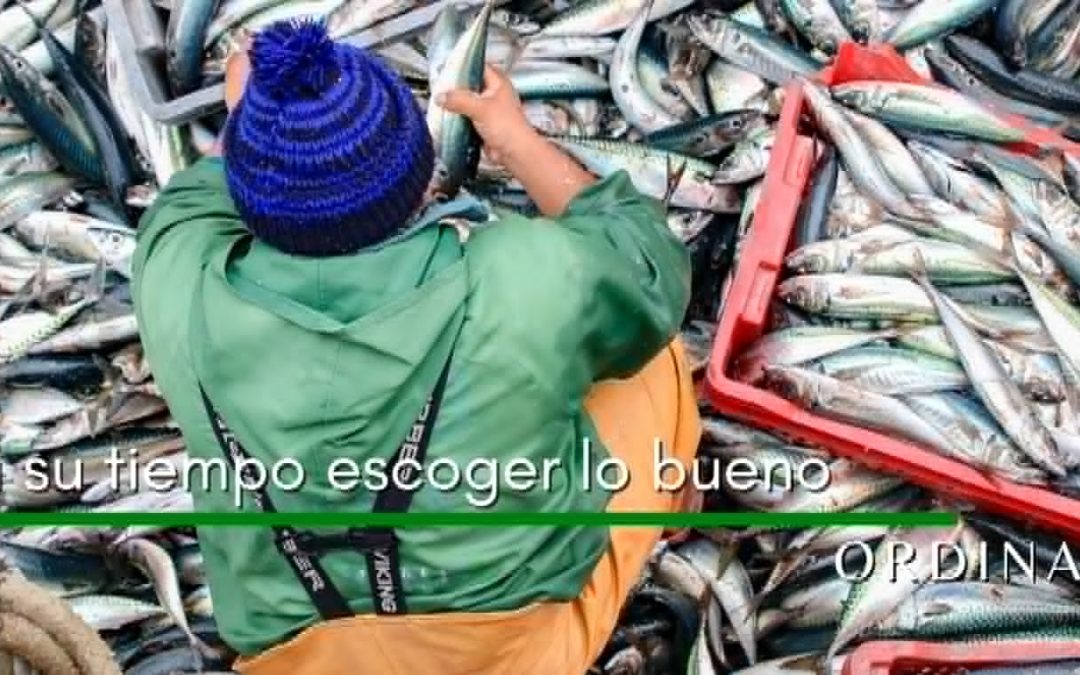 Lectio para 17º domingo de Tiempo Ordinario